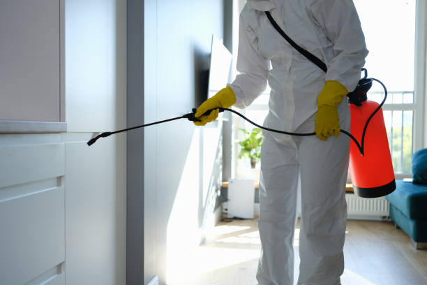 Best Toxic Mold Removal  in Larchmont, NY