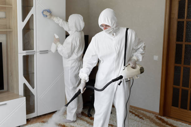 Trusted Larchmont, NY Mold Removal Experts